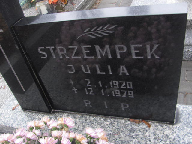 Izabela Głupczyk 1972 Rybnik Niedobczyce - Grobonet - Wyszukiwarka osób pochowanych