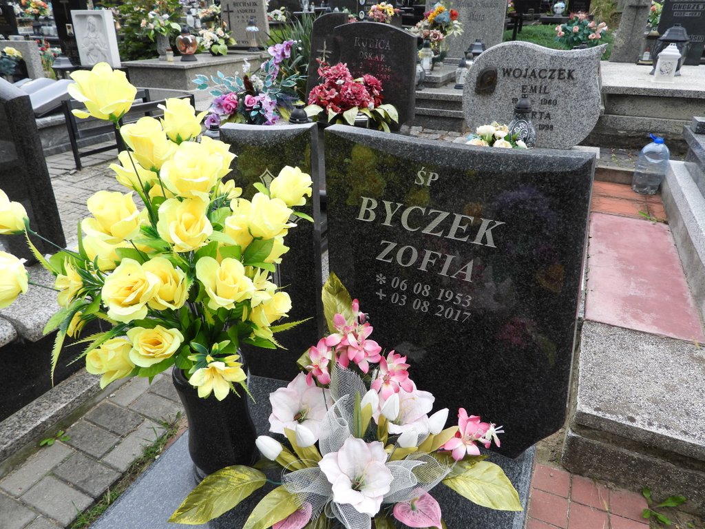 Grób Albertyna Zimoń