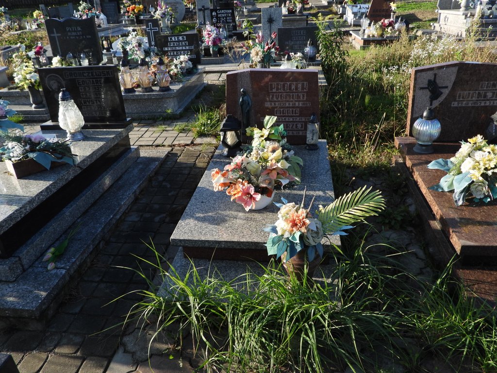 Zygmunt Procek 1932 Rybnik Niedobczyce - Grobonet - Wyszukiwarka osób pochowanych