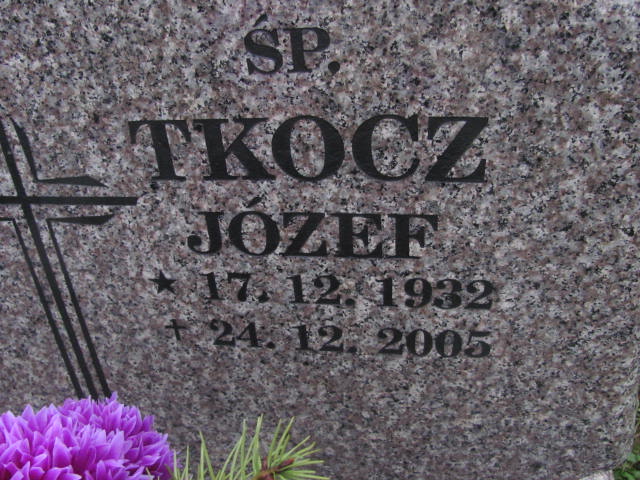 Anna Tkocz 1931 Rybnik Niedobczyce - Grobonet - Wyszukiwarka osób pochowanych